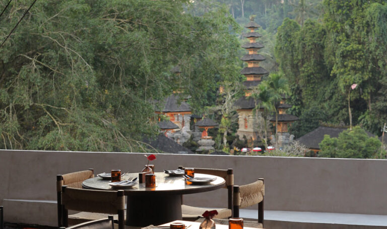 Nari Ubud is the best restaurant with view
